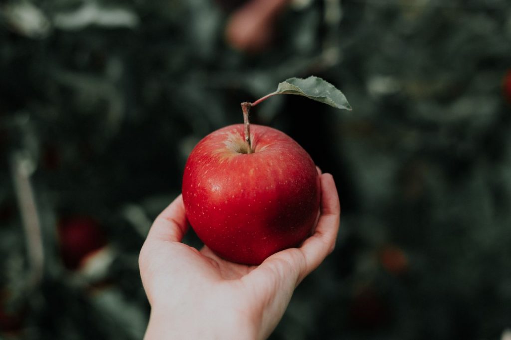 Gesundheit wird großgeschrieben