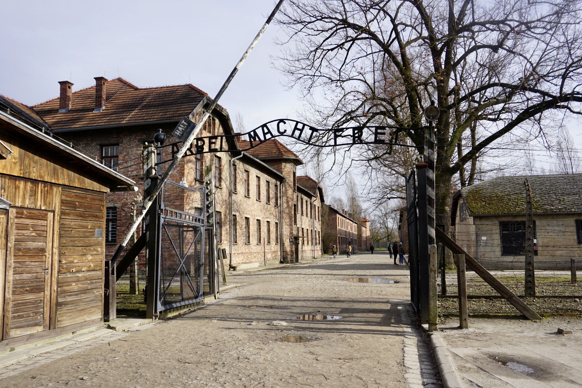 5AHW - Polen 2023 - Auschwitz (1)