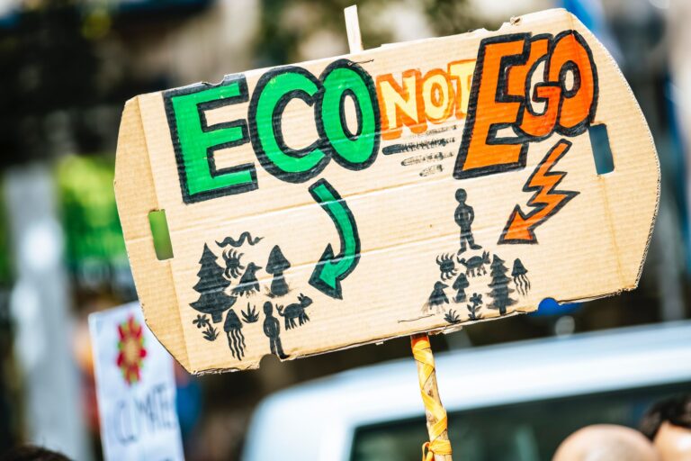 Klimakrise Klimawandel Aktivismus