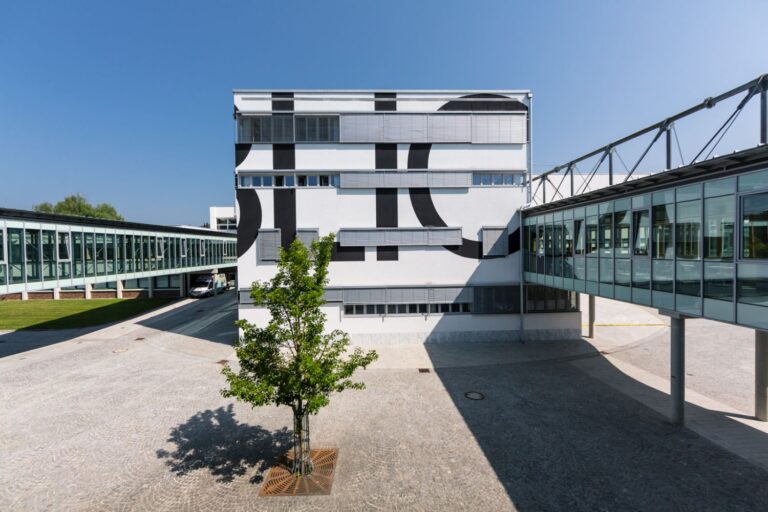 Ab in die Unibibliothek: Erste Schritte zur Diplomarbeit