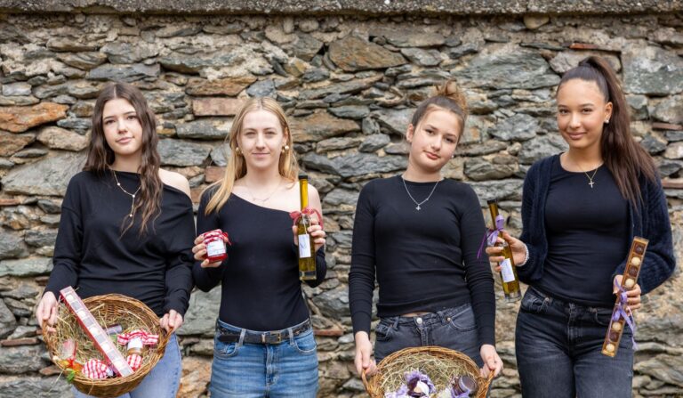 Schüler*innen der einjährigen Fachschule meistern letzte Präsentation