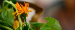 Seminar Herbst 2023 (4)