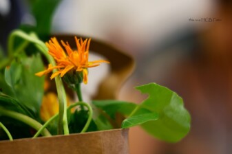Seminar Herbst 2023 (4)